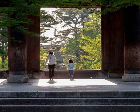 南海子郊野公園游玩攻略：探尋自然與歷史的樂園